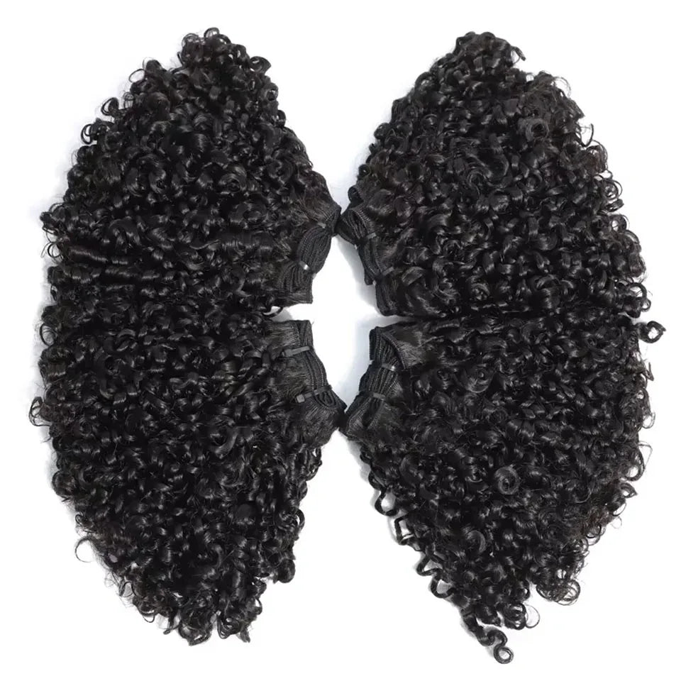 Burmese Curly Hair Bundles