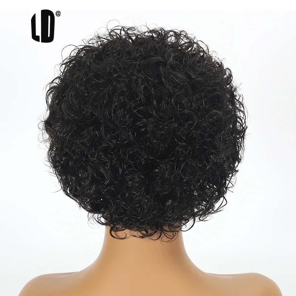Afro Curly Pixie Bob Hd Lace Front Bob Wig